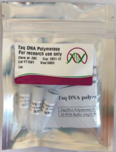 آنزیم Taq DNA Polymerase