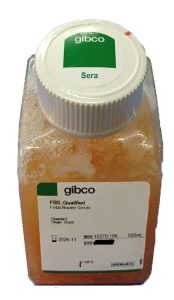 FBS 500ml Gibco گیبکو